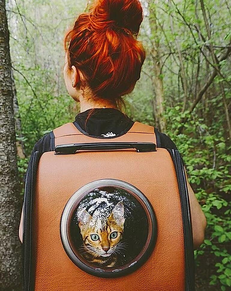 Gezgin Kedi Suki’ den Karpostallık Fotoğraflar