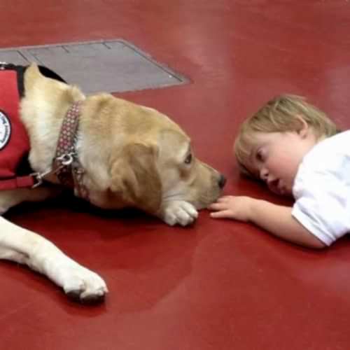 Otizm ve Evcil Dostlarımız