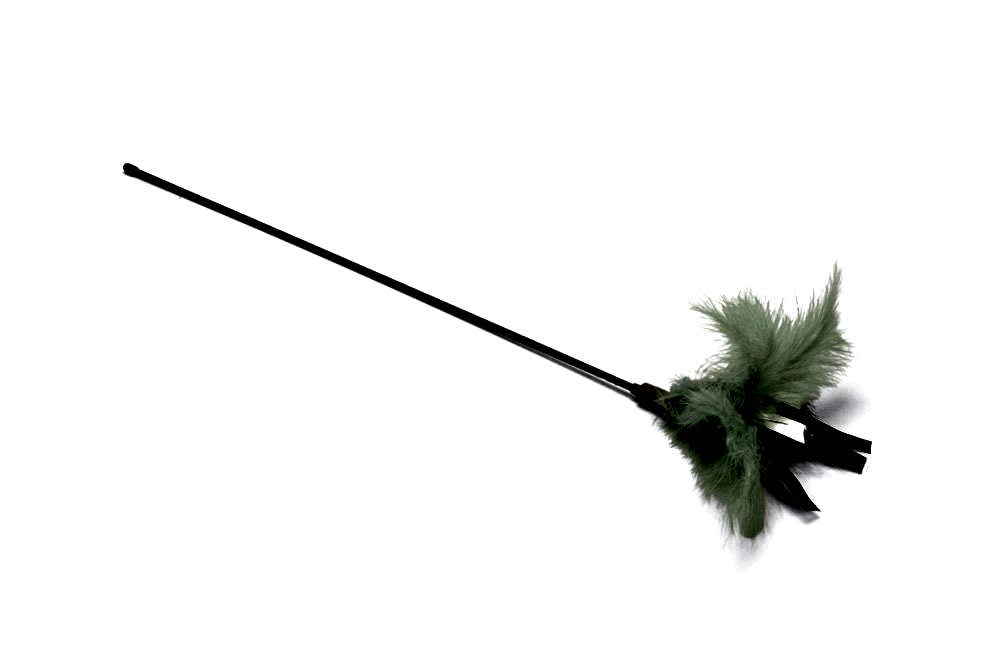 Beeztees Yavru Kedi Oltası 45 Cm