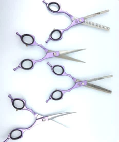 Sgroom 4 Lü Çantalı Makas Set 6,5’’ Mor