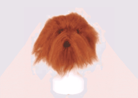 Toex Manken Başı İçin Peruk Kahverengi