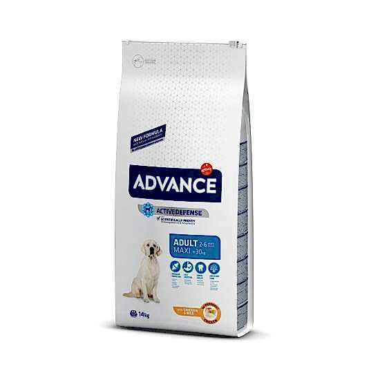 Advance Dog Maxı Adult 14 Kg