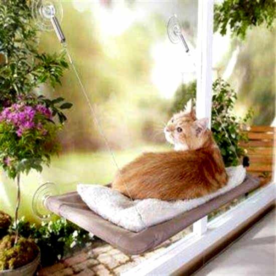 Cama Asılan Kedi Yatağı
