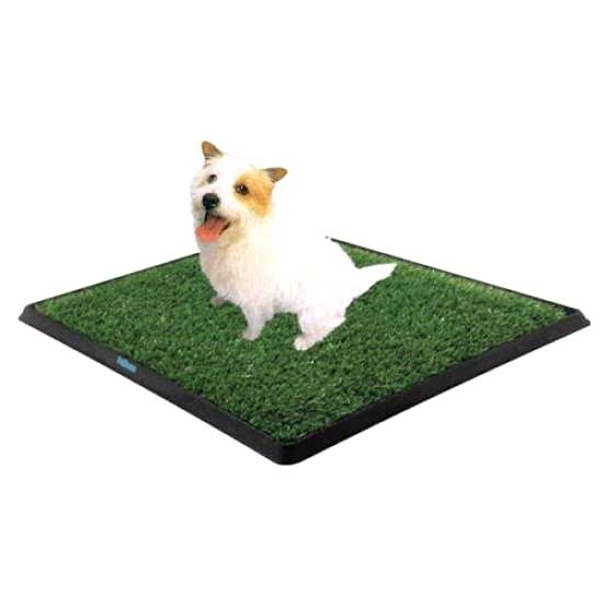 Köpek Tuvalet Eğitim Seti