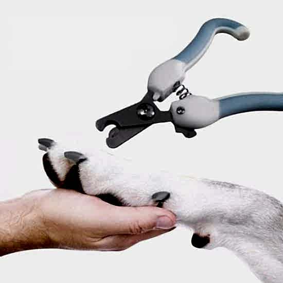 Evcil Hayvan Tırnak Makası