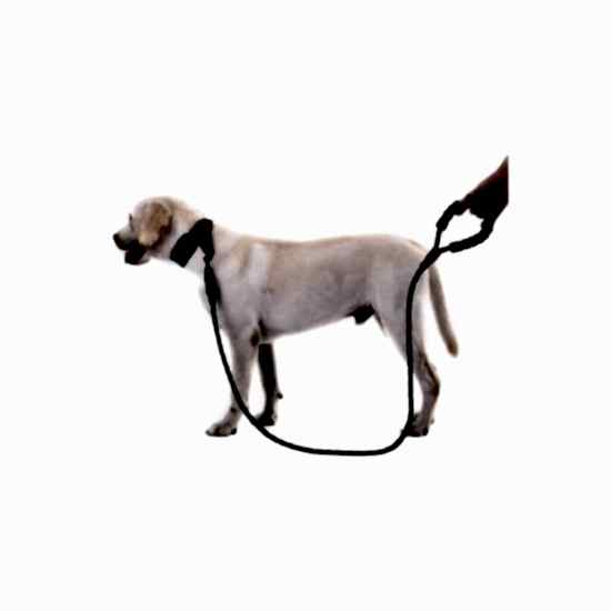 Reflektörlü Köpek Tasması 130 Cm.