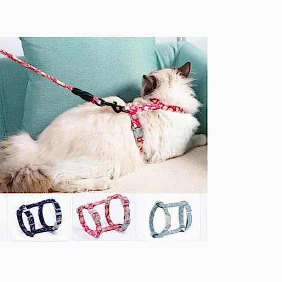 Kedi Gezdirme Göğüs Tasması