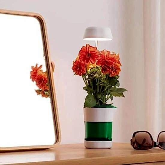 Hızlı Bitki Yetiştirme Saksısı