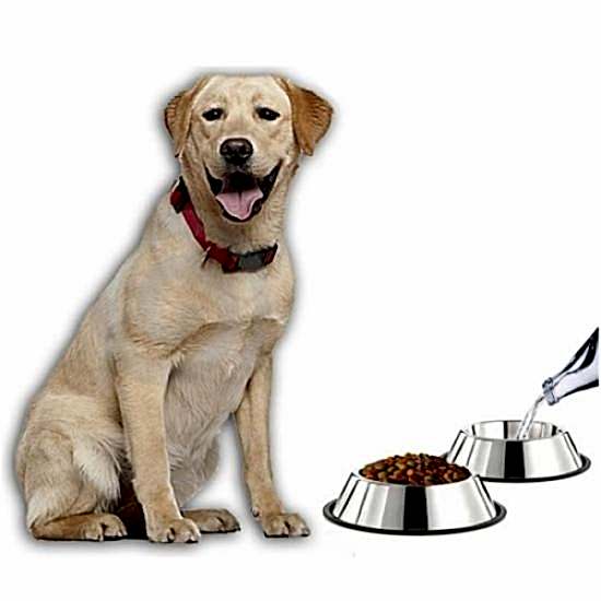 Paslanmaz Çelik Metal Mama Kabı 34 cm.