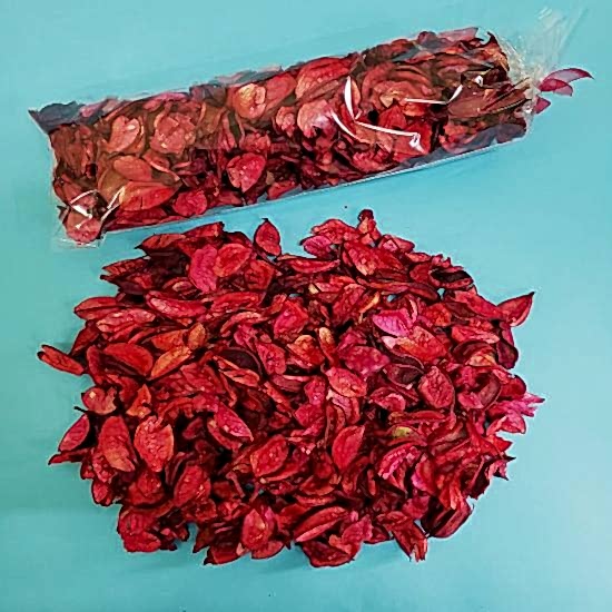 Kırmızı Gül Kurusu