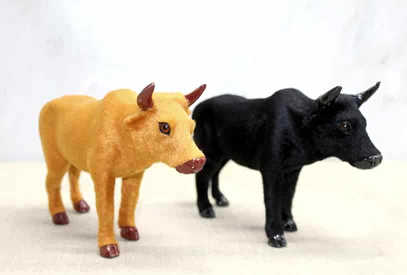 Tüylü Boğa Biblosu