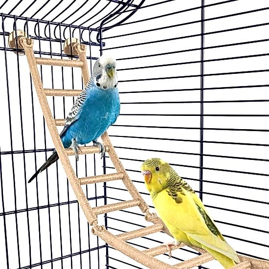 Imac Andorra Bombeli Kuş Kafesi Morcivert 61x38x76cm