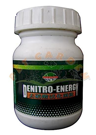 Macroaqua Denıtro Energy