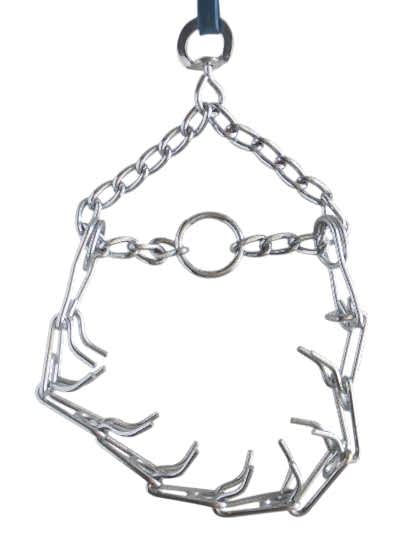 Eastland Eğitim Tasması S