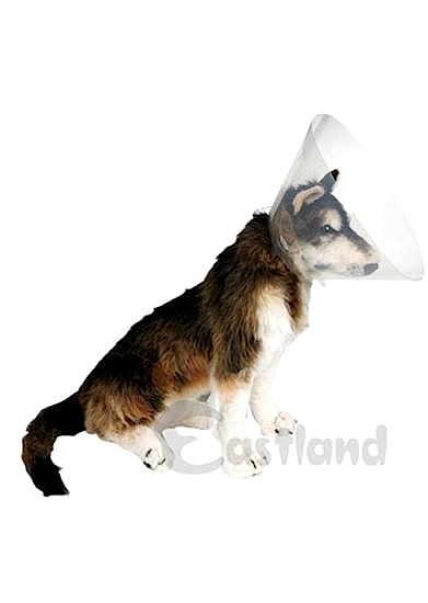 Eastland Yakalık (elizabet) 25 Cm