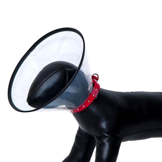 Eastland Elızabeth Dayanıklı Yakalık 7,5 Cm