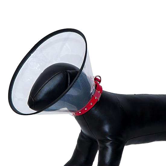 Eastland Elızabeth Dayanıklı Yakalık 10 Cm