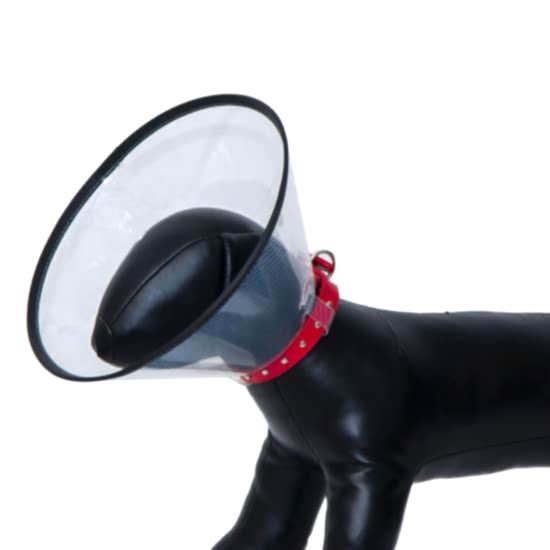 Eastland Elızabeth Dayanıklı Yakalık 12,5 Cm