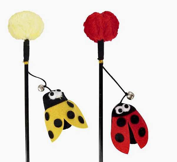 Karlıe Kedi Oltası Uğur Böceği