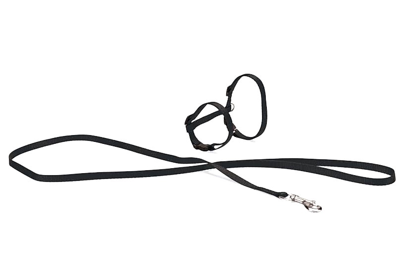 Karlıe Kedi Göğüs Tasması Siyah 110