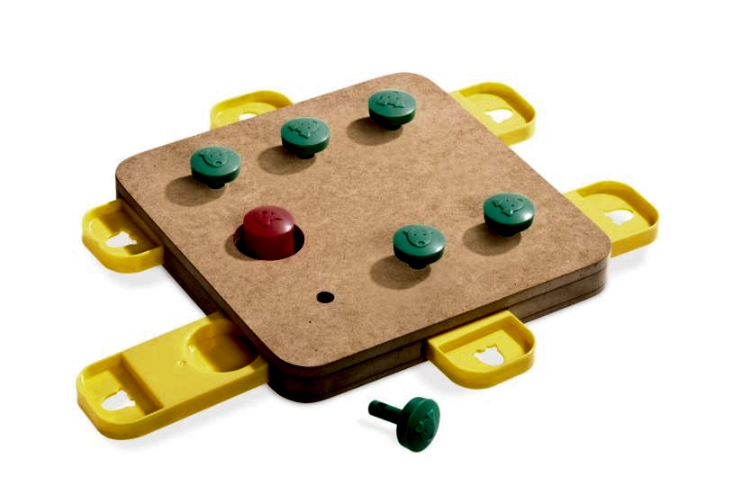 Karlıe Köpek Ahşap Zeka Oyuncağı 32x32 Cm