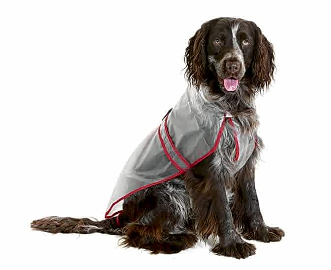 Karlıe Şeffaf Yağmurluk 42cm