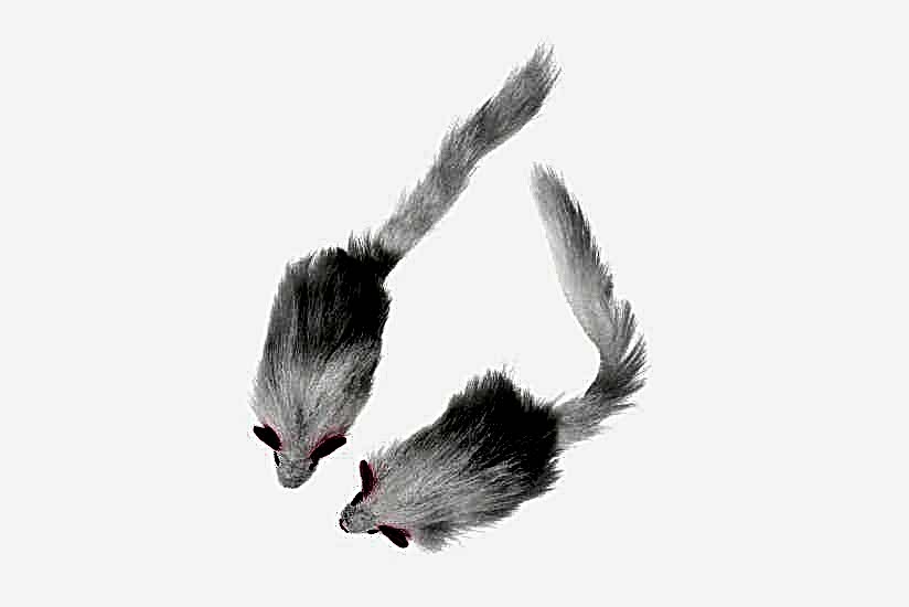 Karlıe Peluş Fare 12 Cm Beyaz