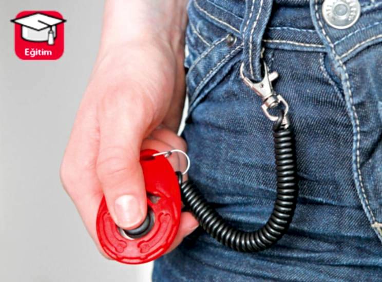 Karlıe Hızlı Clıcker 6x4cm