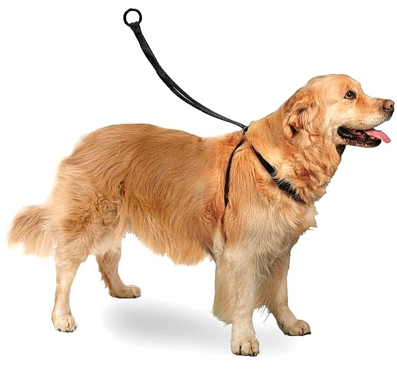 Karlıe Easy Walker Göğüs Tasma 40*58 Cm Large