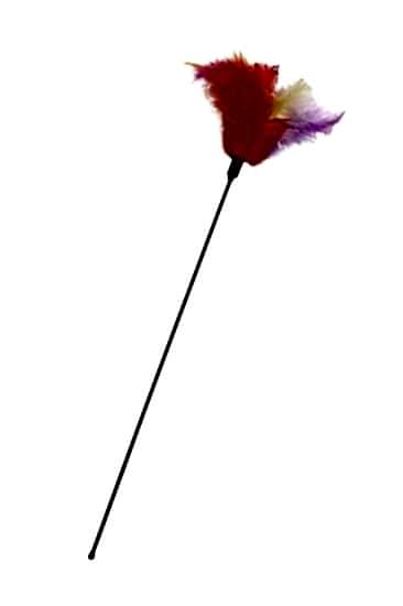 Karlıe Kedi Oltası 45 Cm