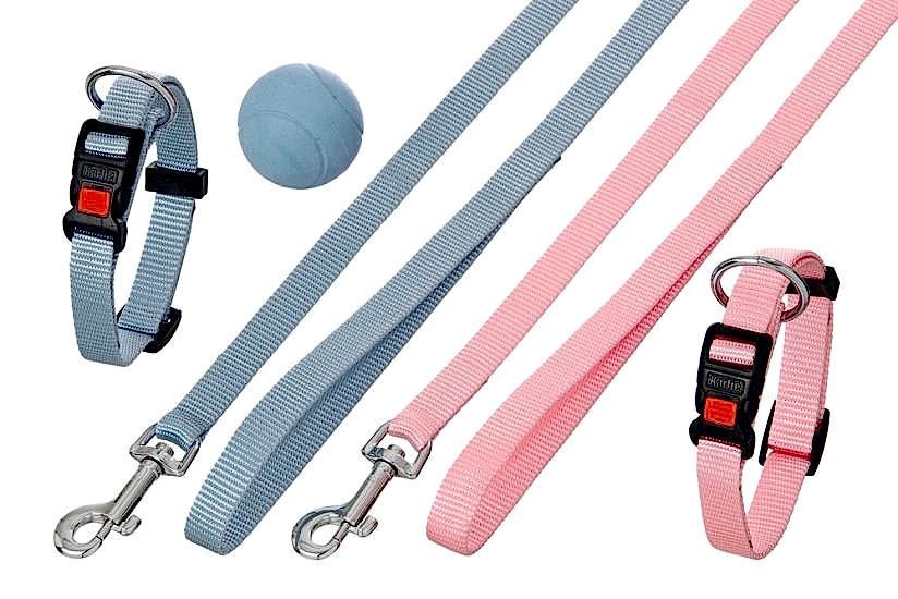 Karlıe Yavru Köpekler Boyunluk Ve Tasma Seti Mavi