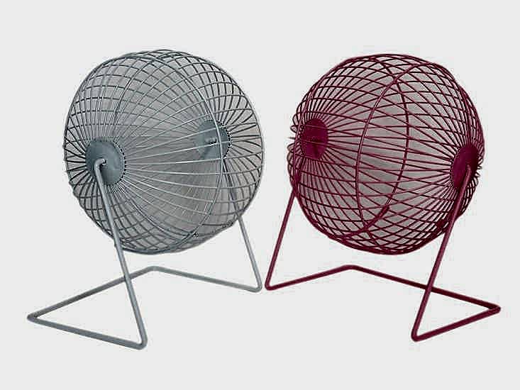 Dayang Hamster Çark Boyalı