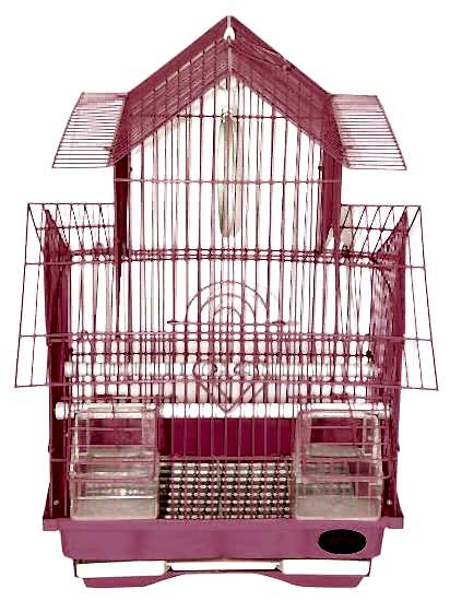 Dayang Çinevi Kafes  Renkli 30x23x46