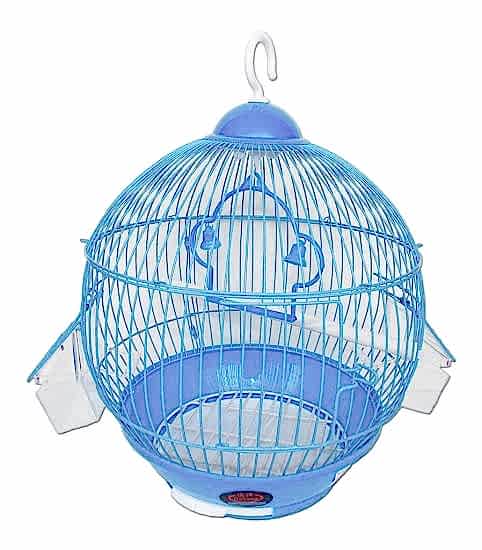 Dünya Kafes Orta 23x37 Colour