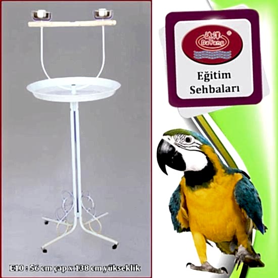 Dayang Papağan Eğitim Sehbası 56x138cm Beyaz