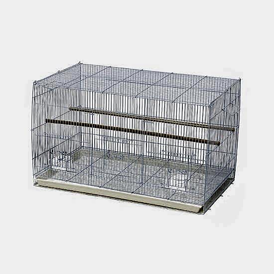 Dayang Kafes Altlığı D610