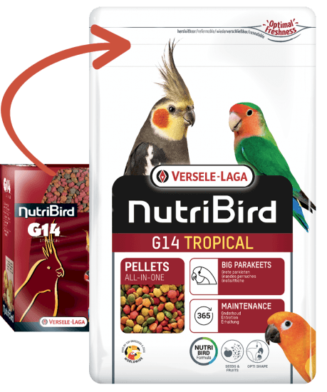 Versele Laga Nutrıbırd G14 Tropıcal Paraket Pelet Yem 1kg