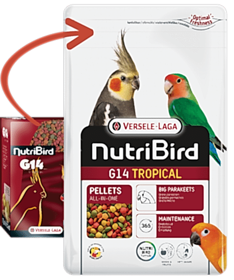 Versele Laga Nutrıbırd G14 Tropıcal Paraket Pelet Yem 10kg