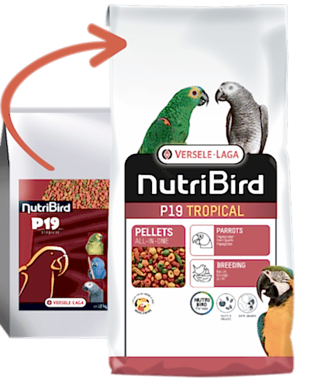 Versele Laga Nutrıbırd P19 Tropıcal Papağan Pelet Yem 10kg