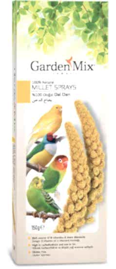 Gardenmix Platin Sarı Dal Darı